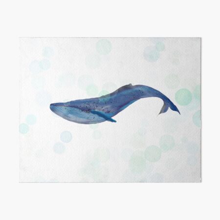 Whale Watercolor with Bubbles by Creative Bee Studios Art Board Print
