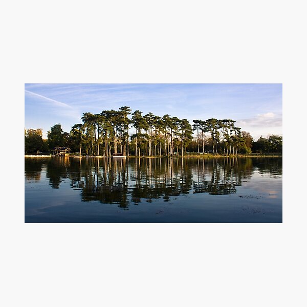 Bois de Boulogne Photographic Print