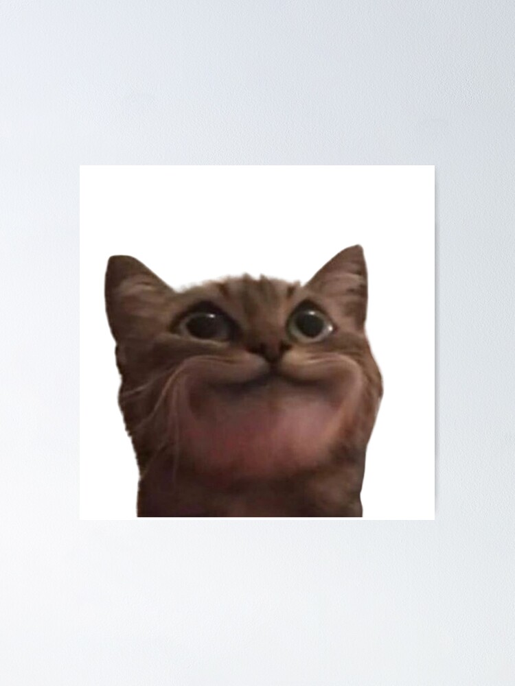 cat meme face, funny cat Sticker for Sale by jassine11