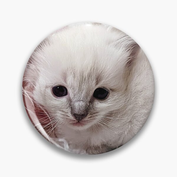 Item preview, Sweet lynx ragdoll kitty designed and sold by Fluffycat2020.