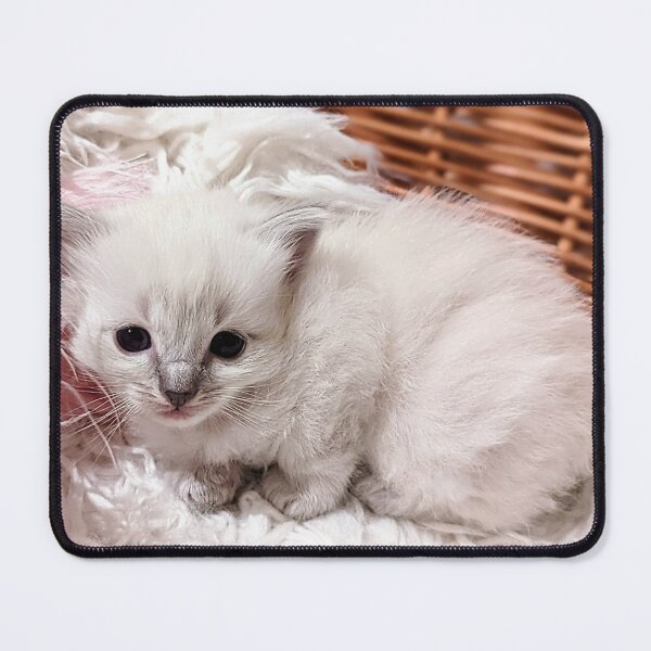 Item preview, Sweet lynx ragdoll kitty designed and sold by Fluffycat2020.