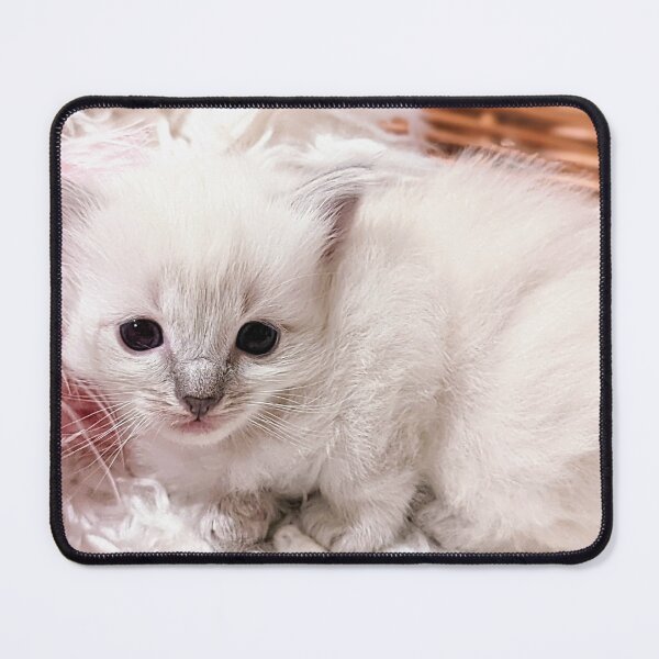 Item preview, Sweet lynx ragdoll kitty designed and sold by Fluffycat2020.