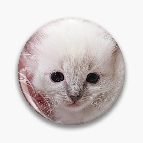 Item preview, Sweet lynx ragdoll kitty designed and sold by Fluffycat2020.