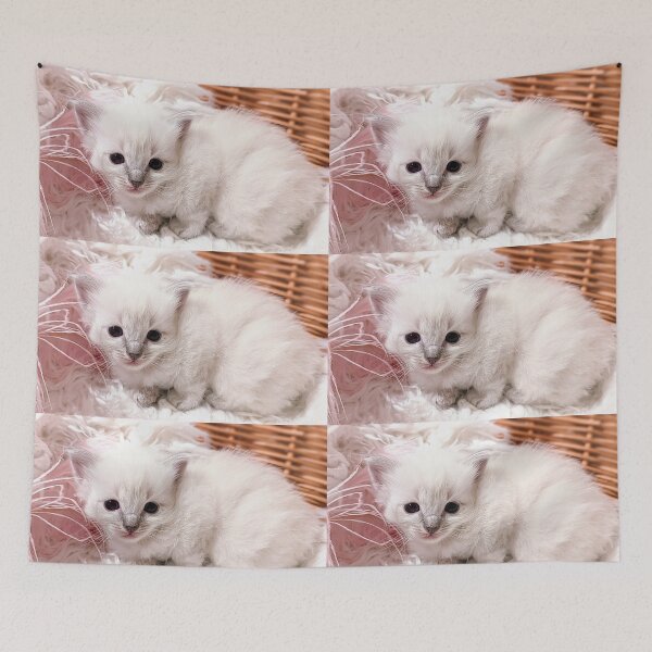 Item preview, Sweet lynx ragdoll kitty designed and sold by Fluffycat2020.