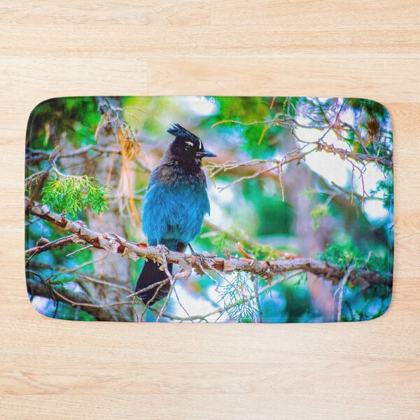 Item preview, Steller's Jay Photograph designed and sold by alpendesigns.
