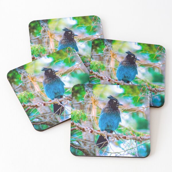 Item preview, Steller's Jay Photograph designed and sold by alpendesigns.