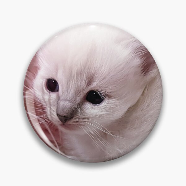 Item preview, Sweet lynx ragdoll kitty designed and sold by Fluffycat2020.
