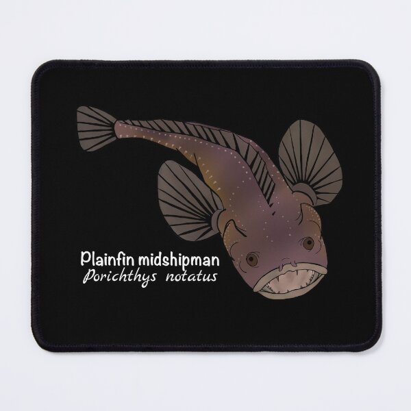 Item preview, Plainfin Midshipman Fish - Porichthys notatus (dark) designed and sold by WestCoastWoods.