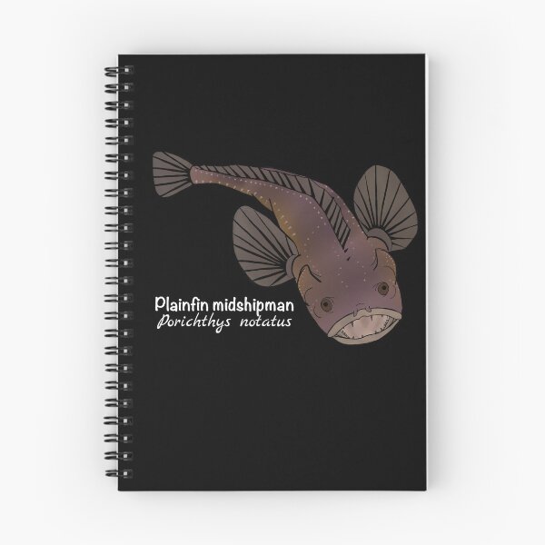 Item preview, Plainfin Midshipman Fish - Porichthys notatus (dark) designed and sold by WestCoastWoods.
