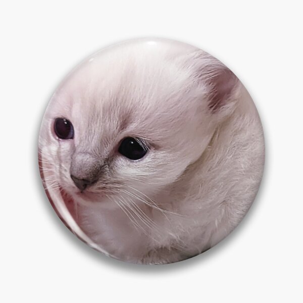 Item preview, Sweet lynx ragdoll kitty designed and sold by Fluffycat2020.
