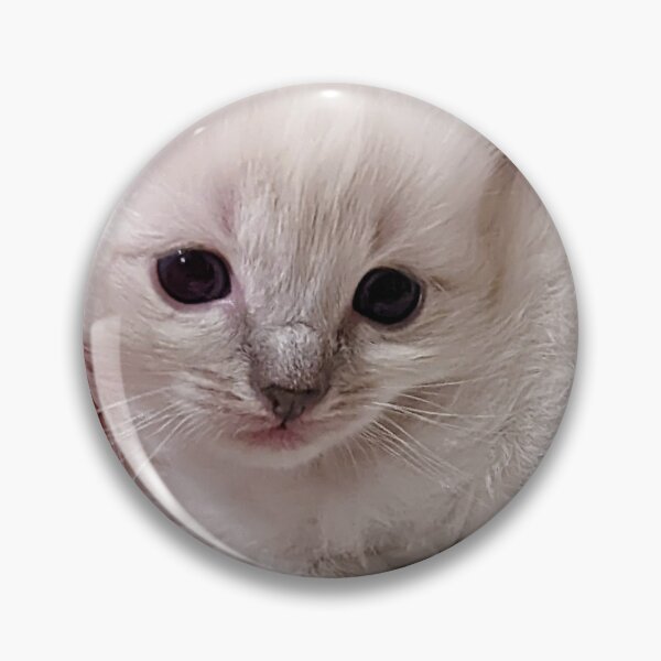 Item preview, Sweet lynx ragdoll kitty designed and sold by Fluffycat2020.