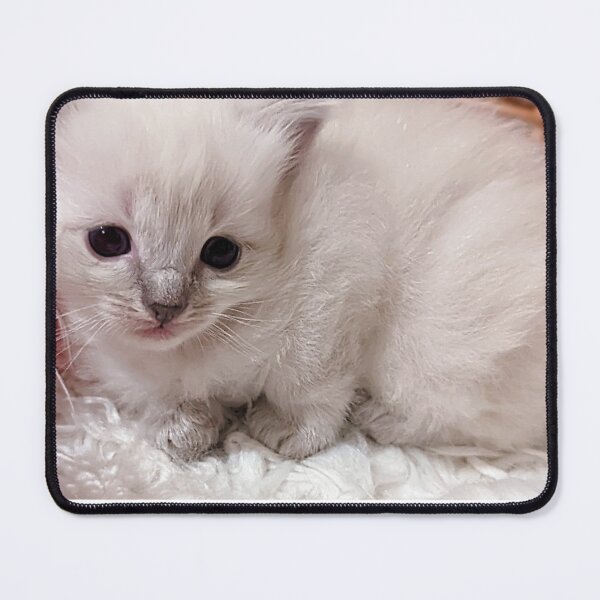 Item preview, Sweet lynx ragdoll kitty designed and sold by Fluffycat2020.