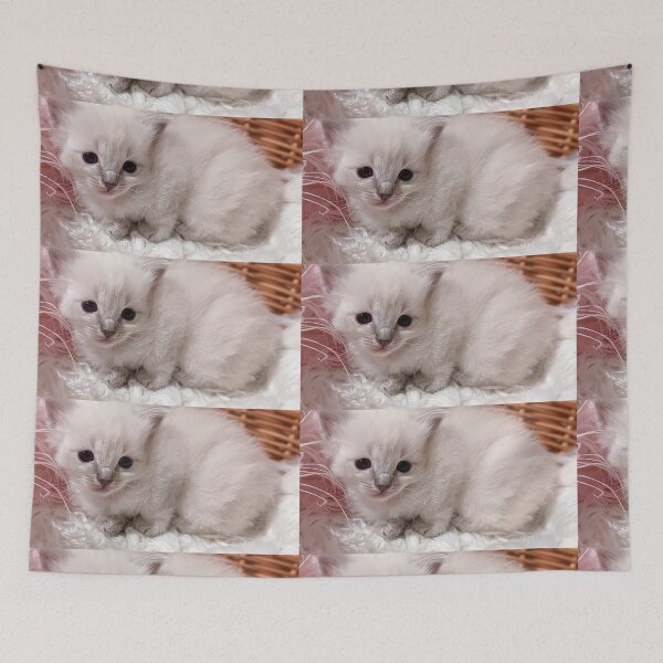 Item preview, Sweet lynx ragdoll kitty designed and sold by Fluffycat2020.