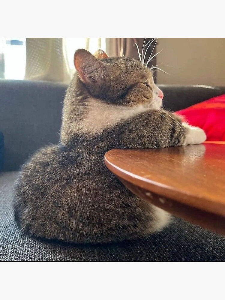 Cat Sitting Sticker