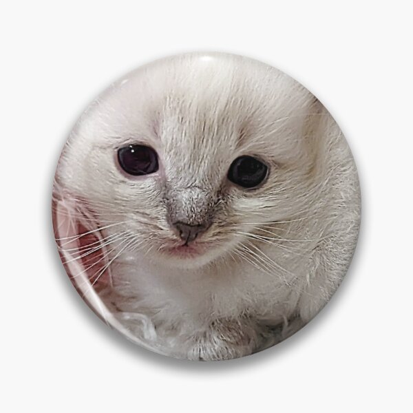 Item preview, Sweet lynx ragdoll kitty designed and sold by Fluffycat2020.