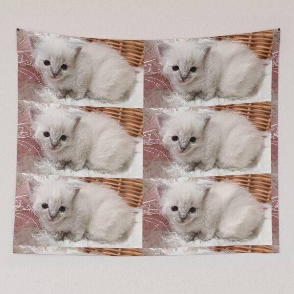 Item preview, Sweet lynx ragdoll kitty designed and sold by Fluffycat2020.
