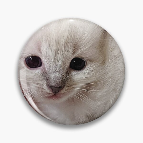 Item preview, Sweet lynx ragdoll kitty designed and sold by Fluffycat2020.