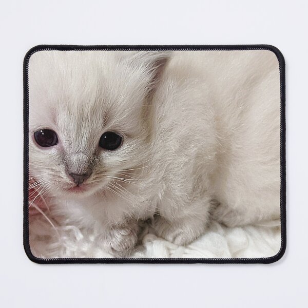 Item preview, Sweet lynx ragdoll kitty designed and sold by Fluffycat2020.