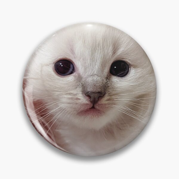 Item preview, Sweet lynx ragdoll kitty designed and sold by Fluffycat2020.