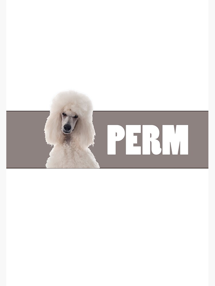 "4 letter dog PERM" Poster for Sale by carnabydesigns Redbubble