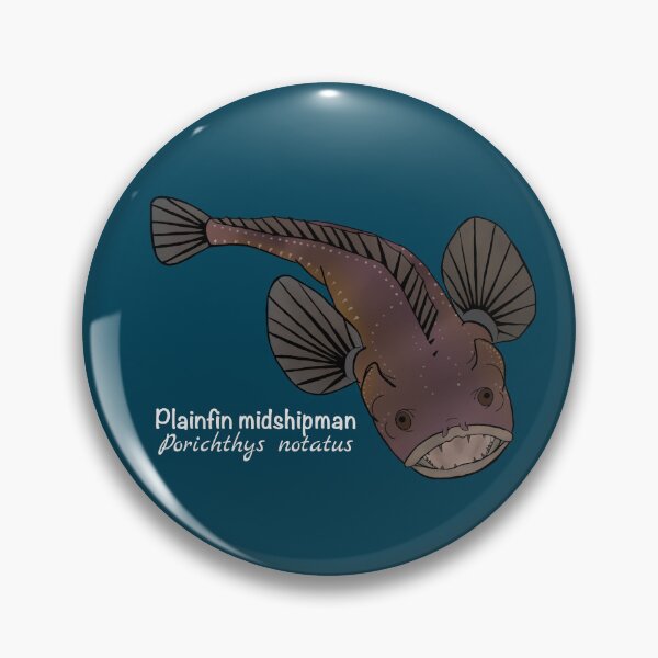 Item preview, Plainfin Midshipman Fish - Porichthys notatus (ocean blue) designed and sold by WestCoastWoods.
