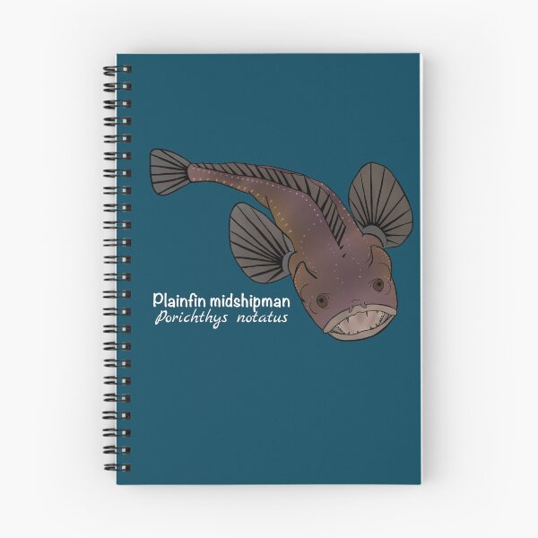 Item preview, Plainfin Midshipman Fish - Porichthys notatus (ocean blue) designed and sold by WestCoastWoods.