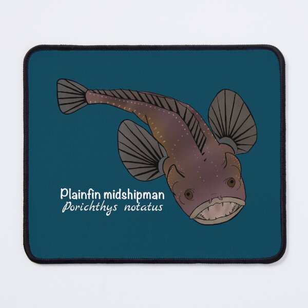 Item preview, Plainfin Midshipman Fish - Porichthys notatus (ocean blue) designed and sold by WestCoastWoods.