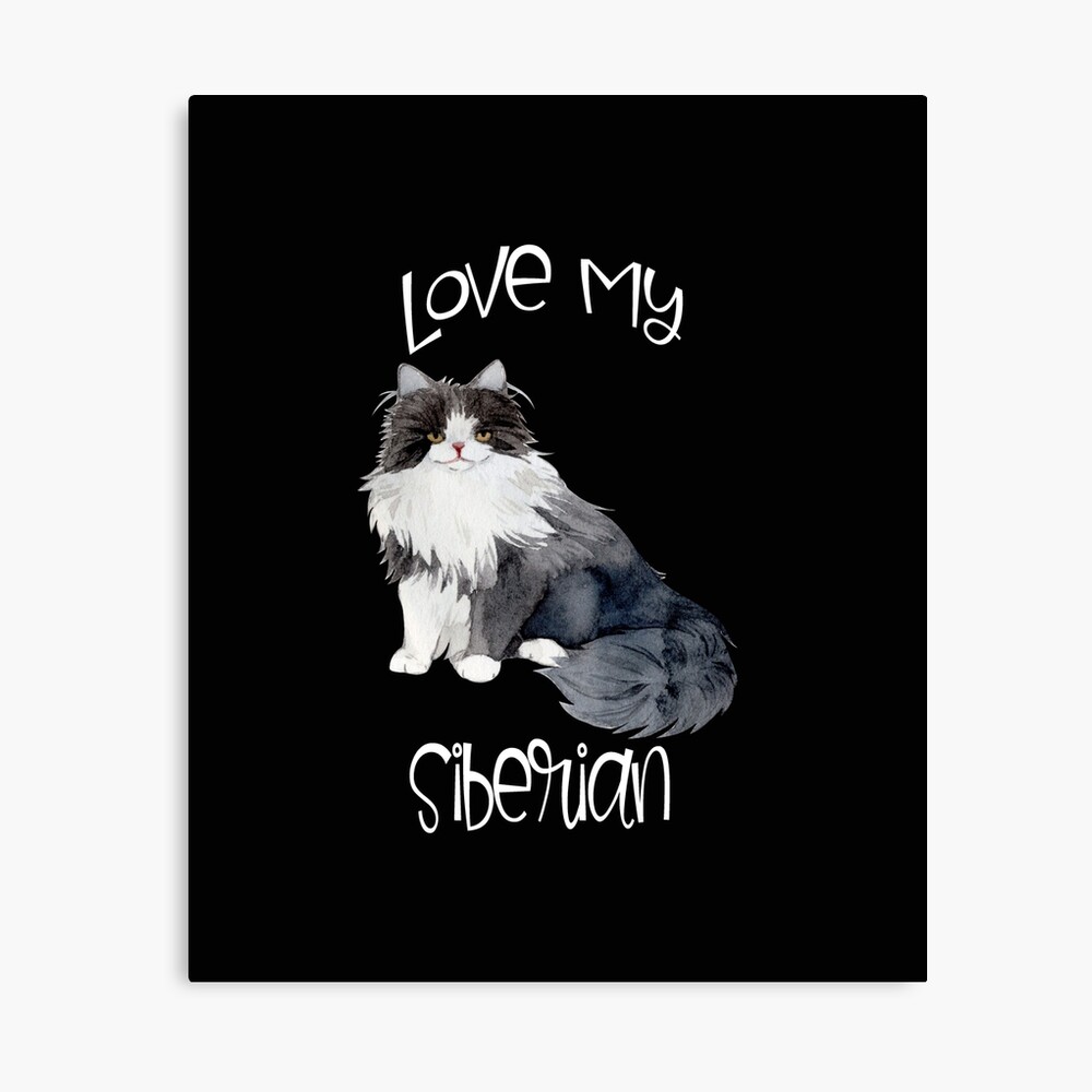 Poster J Adore Mon Chat Siberien Par Joyfuldesigns55 Redbubble