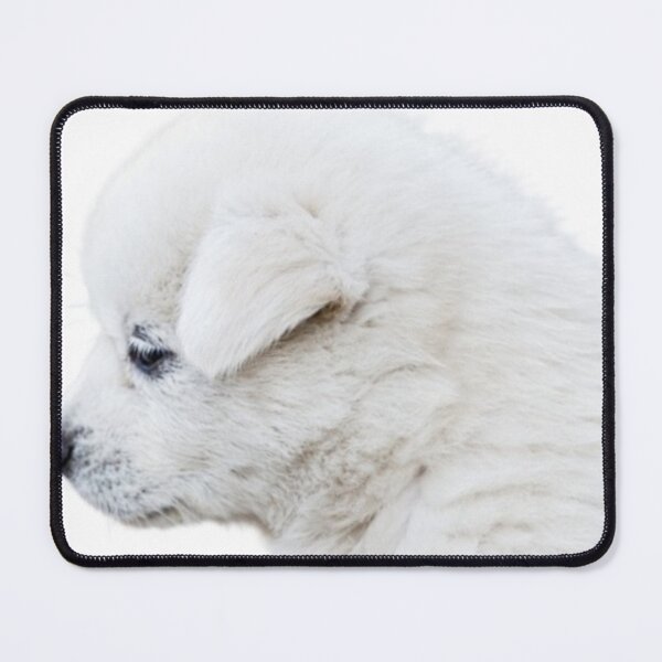 Item preview, White Puppy Dog designed and sold by Gaurav590678.