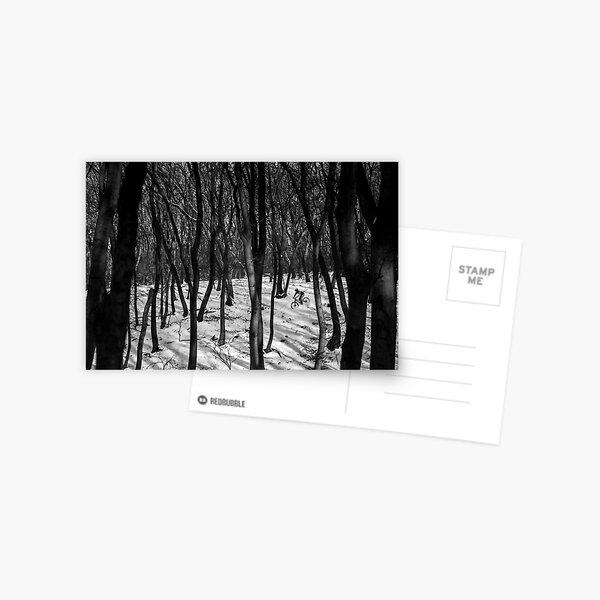 Lines Postcard