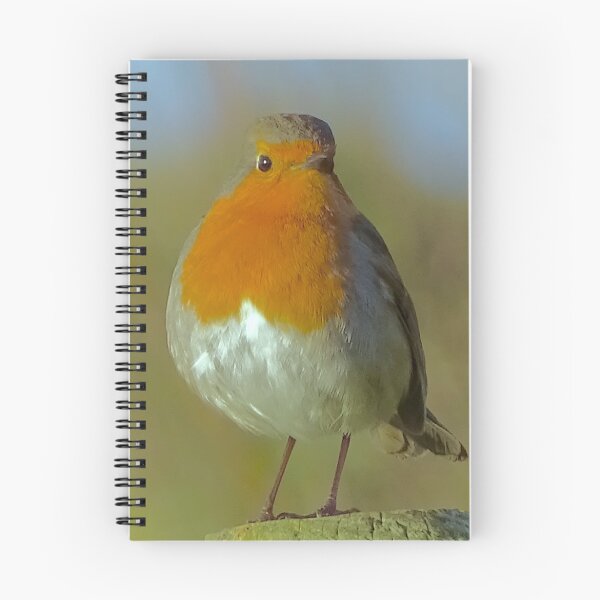 Item preview, ROBIN REDBREAST designed and sold by NICK COBURN PHILLIPS.