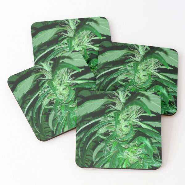Item preview, Marijuana plant close up photo designed and sold by rmpk101.