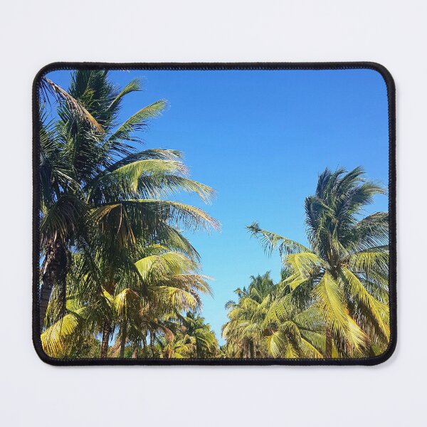 Item preview, photograph of palm trees along a road against blue sky designed and sold by rmpk101.