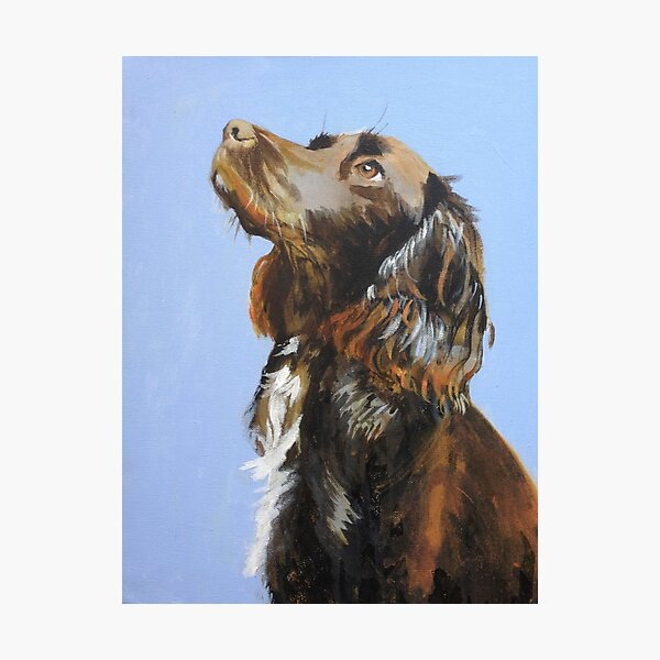 Chocolate cocker spaniel sales gifts