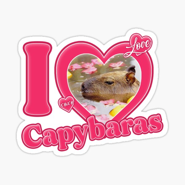 MAOFAED Capybara Gift Capybara Keychain Don't Worry Be Cappy Capybara Lover  Gift Animal Lover Gift at  Women's Clothing store