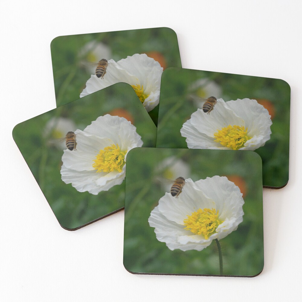 Item preview, Coasters (Set of 4) designed and sold by MagdaLabuda.