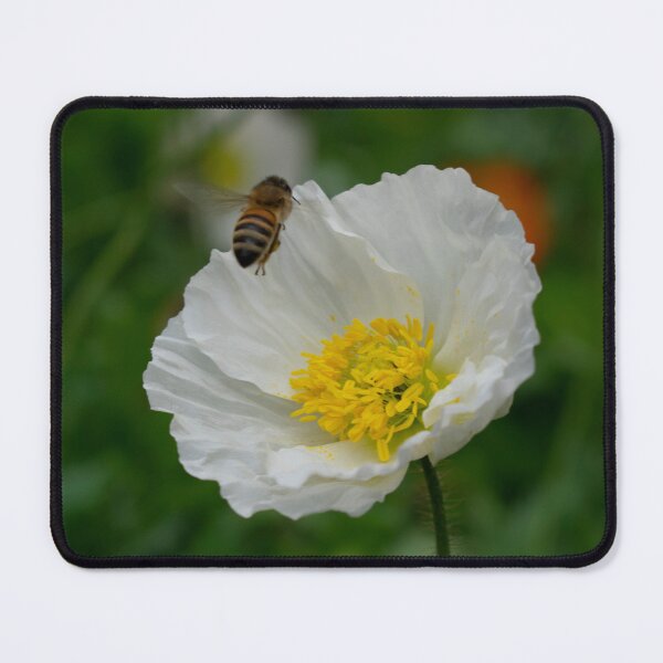 Item preview, Coming In To Land designed and sold by Magda Labuda.