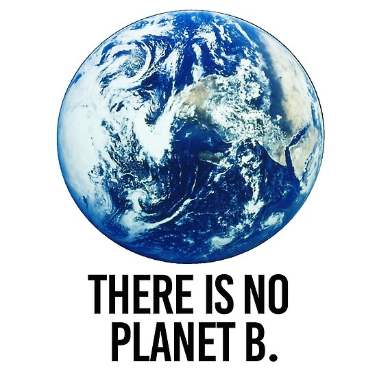 "There Is No Planet B" Posters By Partyfarty | Redbubble