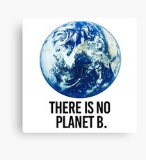 There is no Planet B Canvas Print