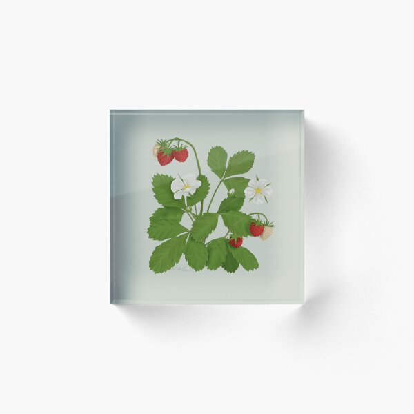 Aperçu de l'œuvre Fraises des bois créée et vendue par Heather  Hinam.
