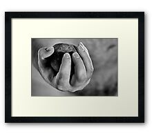 Framed Print