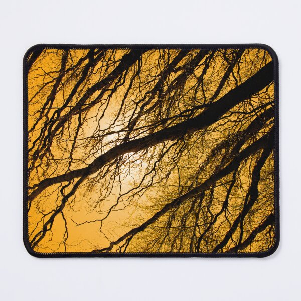 Item preview, Wyn's Willow designed and sold by Al Mullen.