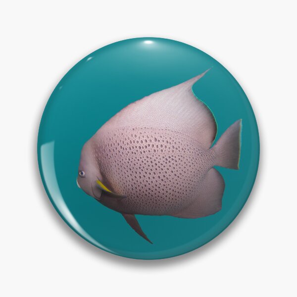 Item preview, Gray Angelfish designed and sold by BullsGallery.