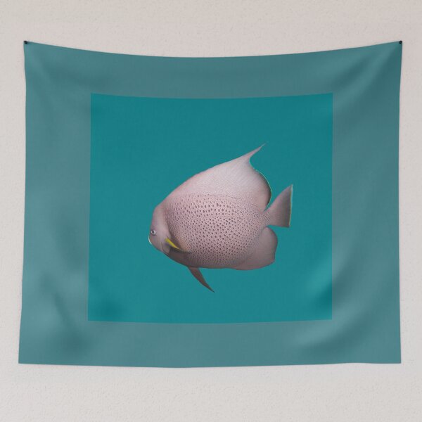 Item preview, Gray Angelfish designed and sold by BullsGallery.