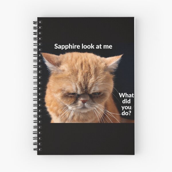 Item preview, Sapphire look at me, what did you do? designed and sold by RobbiesMusic.