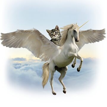 Artwork thumbnail, Epic Kitten by Balley
