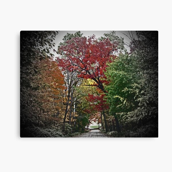 Item preview, Vivd Autumn Lane Tunnel Vision designed and sold by adriturner.