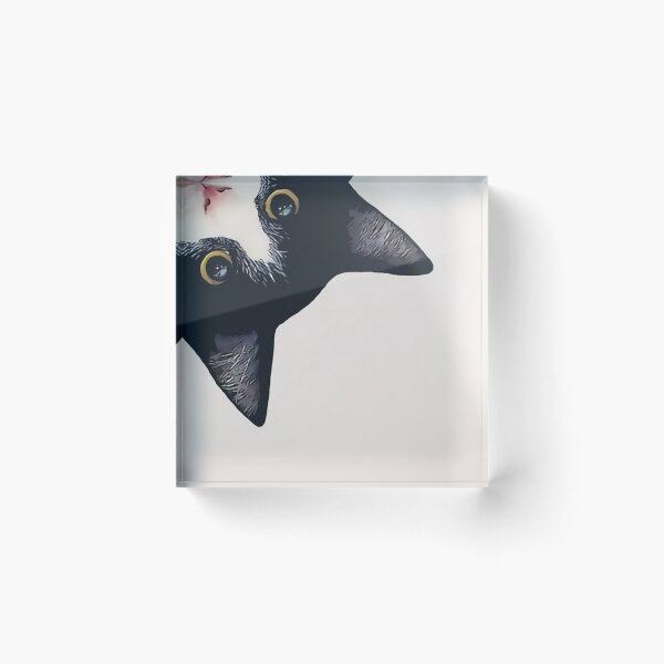 Item preview,  Black And White Cat  designed and sold by jaquinArt22.