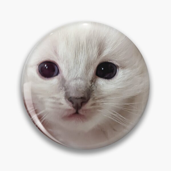 Item preview, Baby ragdoll kitten designed and sold by Fluffycat2020.