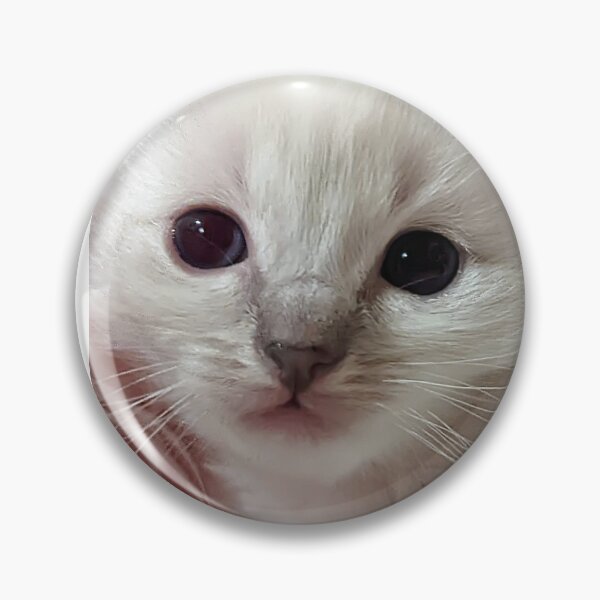 Item preview, Baby ragdoll kitten designed and sold by Fluffycat2020.